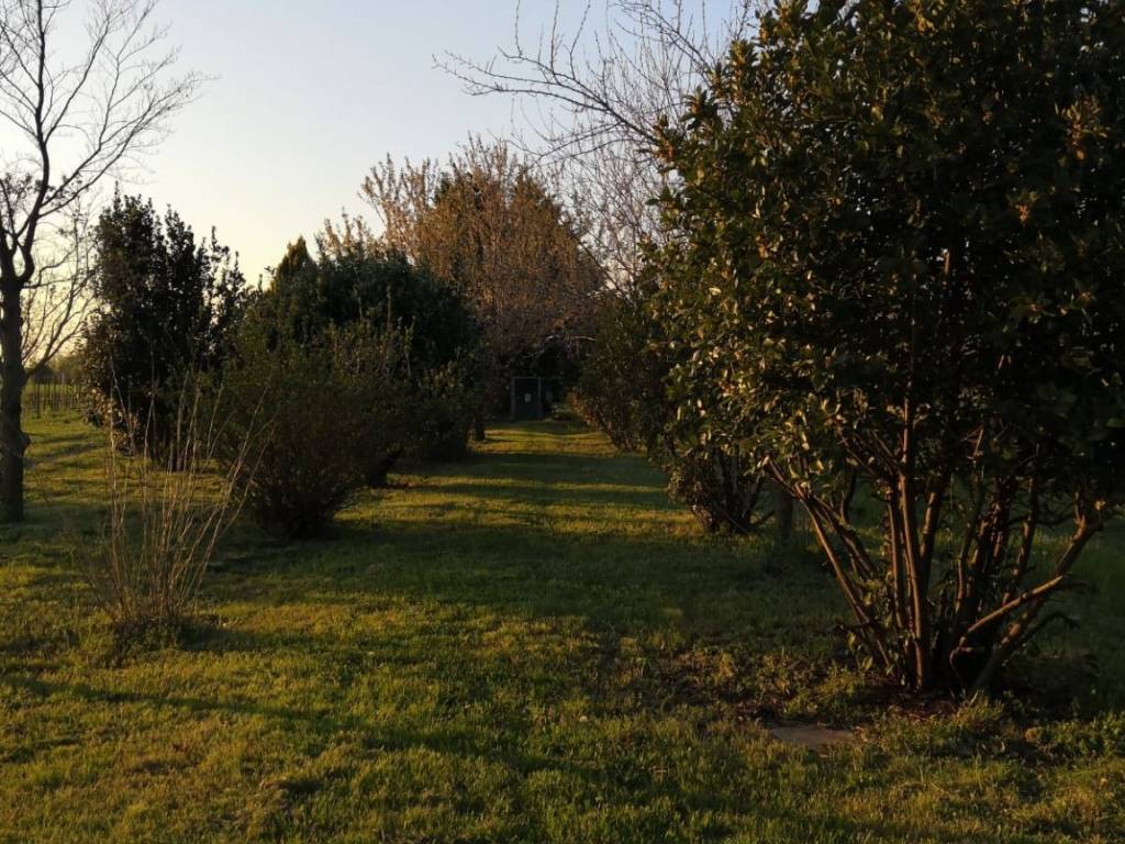 Terreno a Gradisca d'isonzo in Via dei Campi - Foto 5