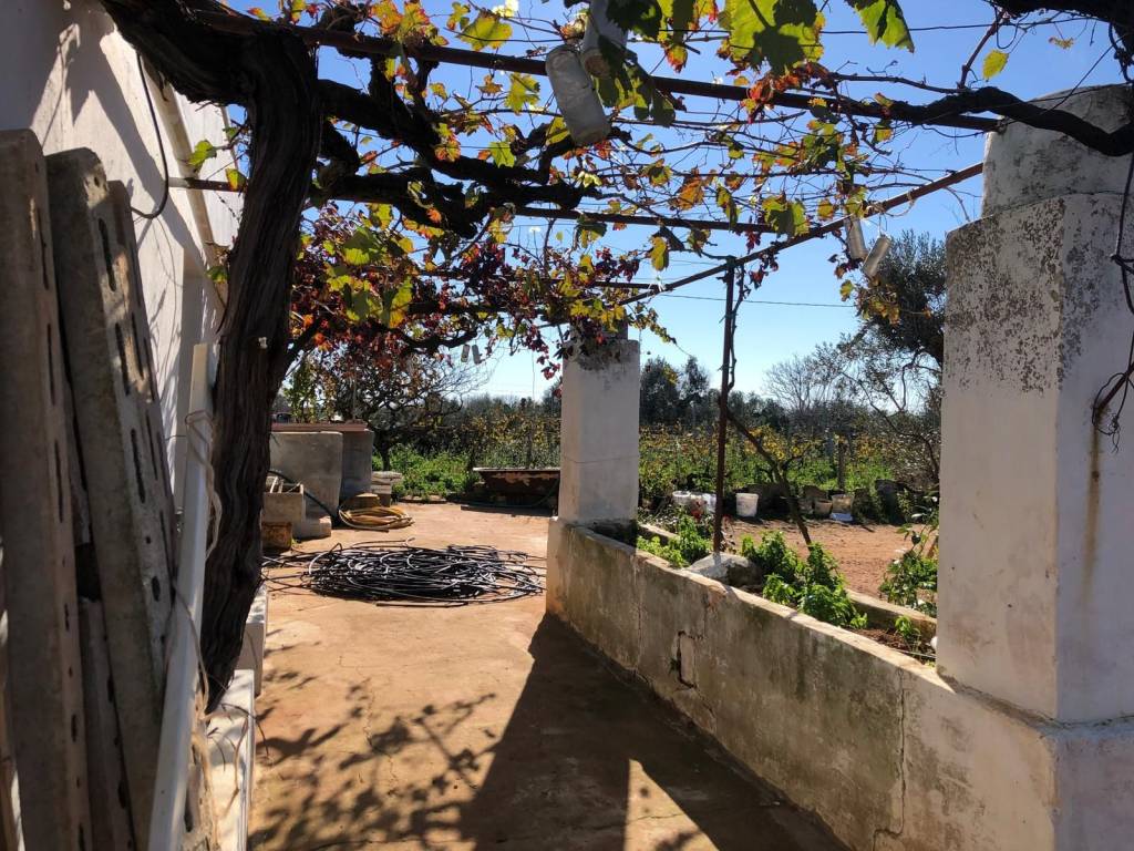 Terreno a Presicce-acquarica in Strada Vicinale Volpi Tartufi - Foto 3