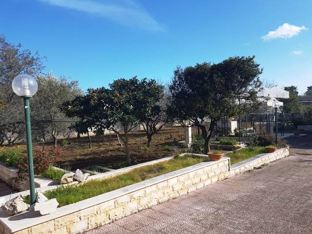 Terreno a Bisceglie - Foto 3