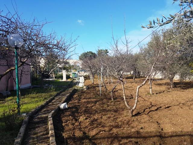 Terreno a Bisceglie - Foto 5