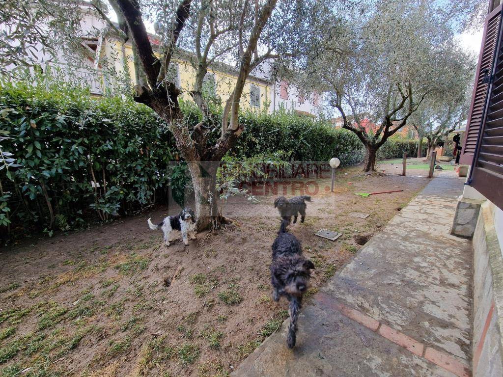 Casa indipendente a Castelnuovo magra - Foto 2