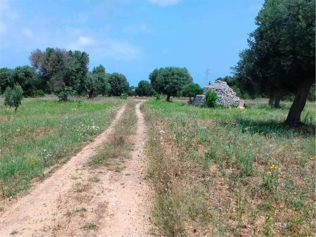Rustico / casale a Carovigno - Foto 2