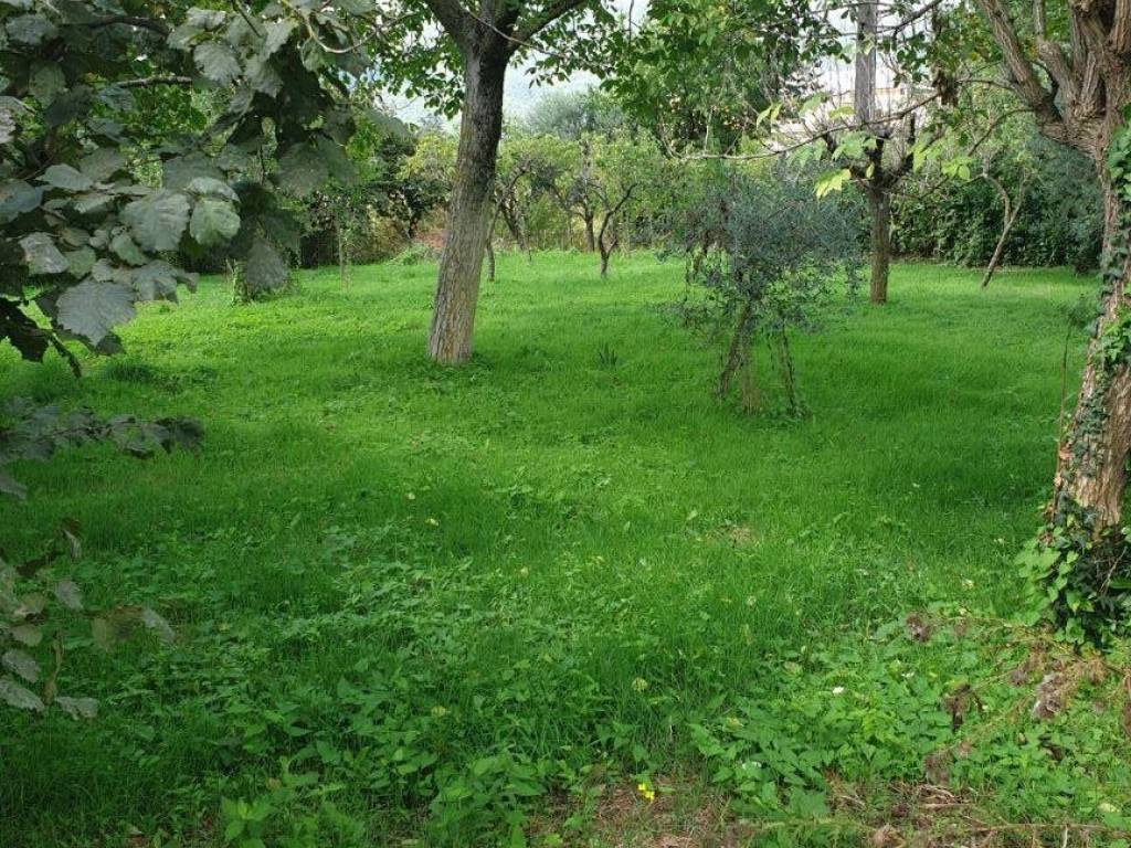 Rustico / casale a Forino in Via Gennaro Siniscalchi, 38 - Foto 2