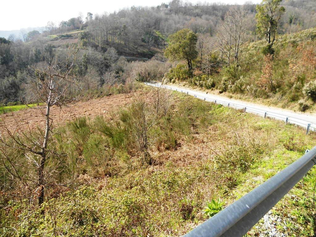 Terreno a Lamezia terme in Strada Comunale Crozzanello-Santa Maria - Foto 2