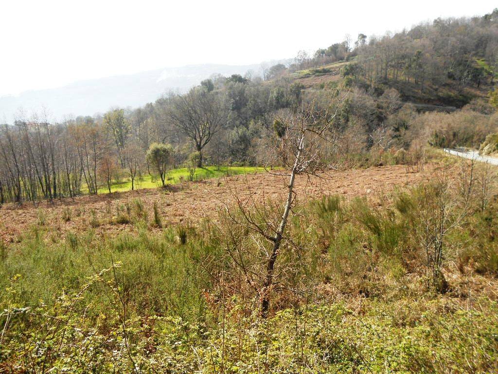 Terreno a Lamezia terme in Strada Comunale Crozzanello-Santa Maria - Foto 3