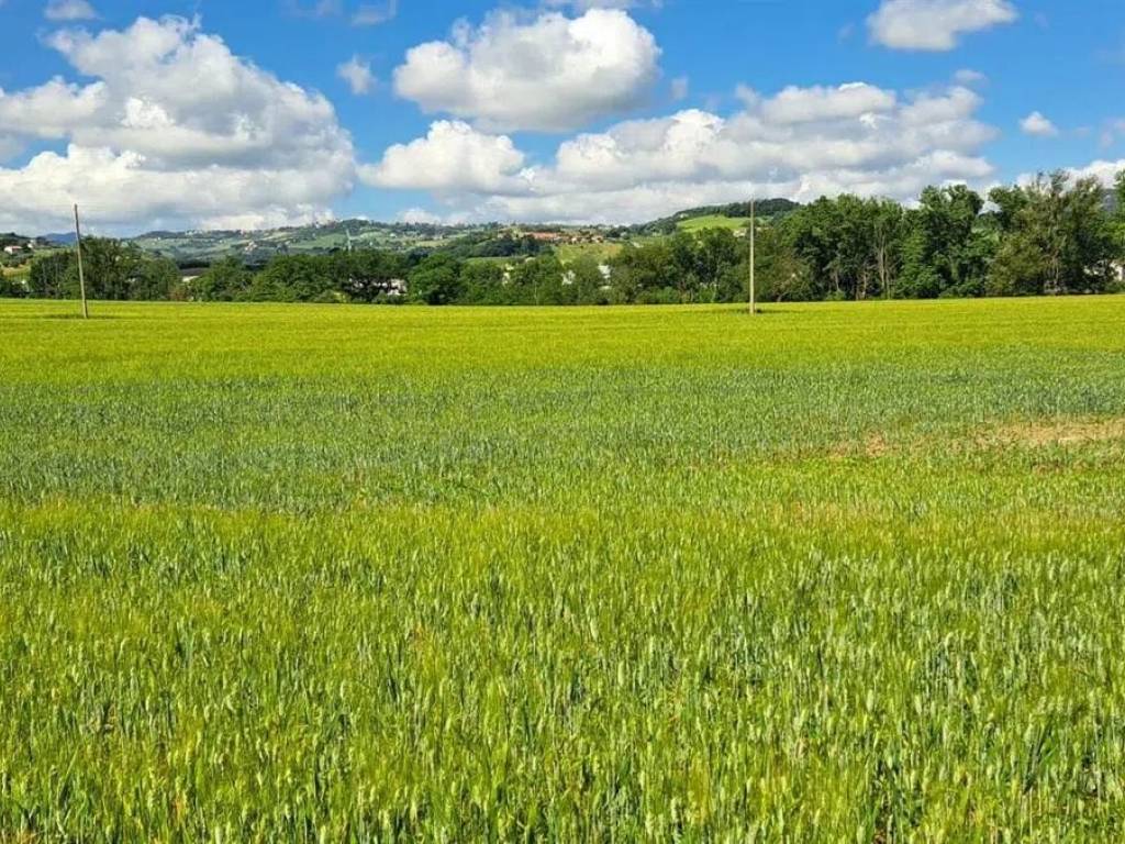 Terreno a Monte roberto - Foto 2