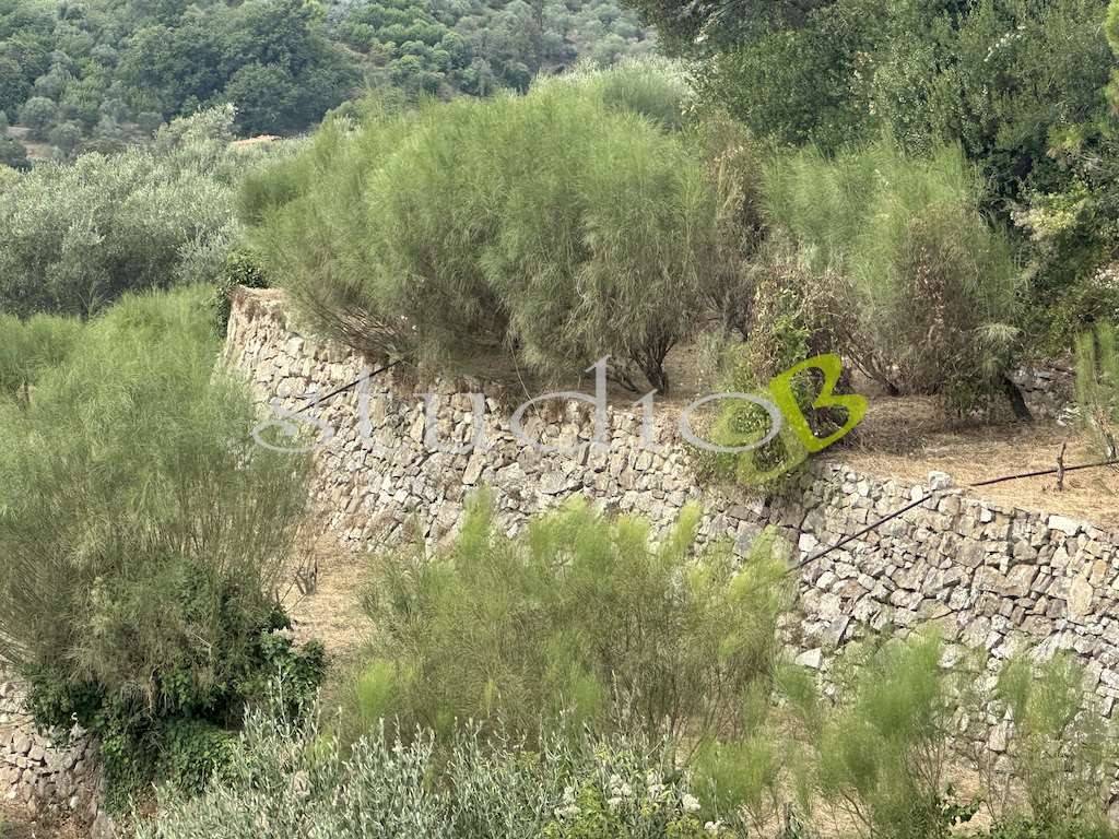 Terreno a Vallebona in Strada Tuvu, snc - Foto 3