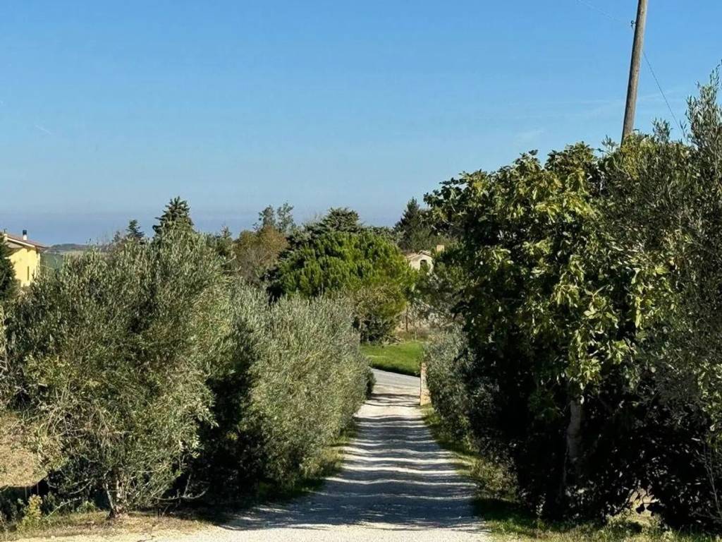 Rustico / casale a Cingoli in Frazione Cervidone, 3 - Foto 5