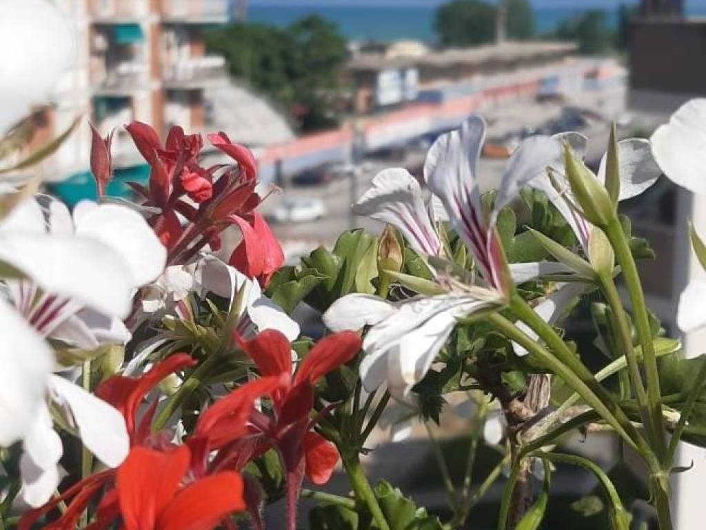 Attico / mansarda a Civitanova marche - Foto 2