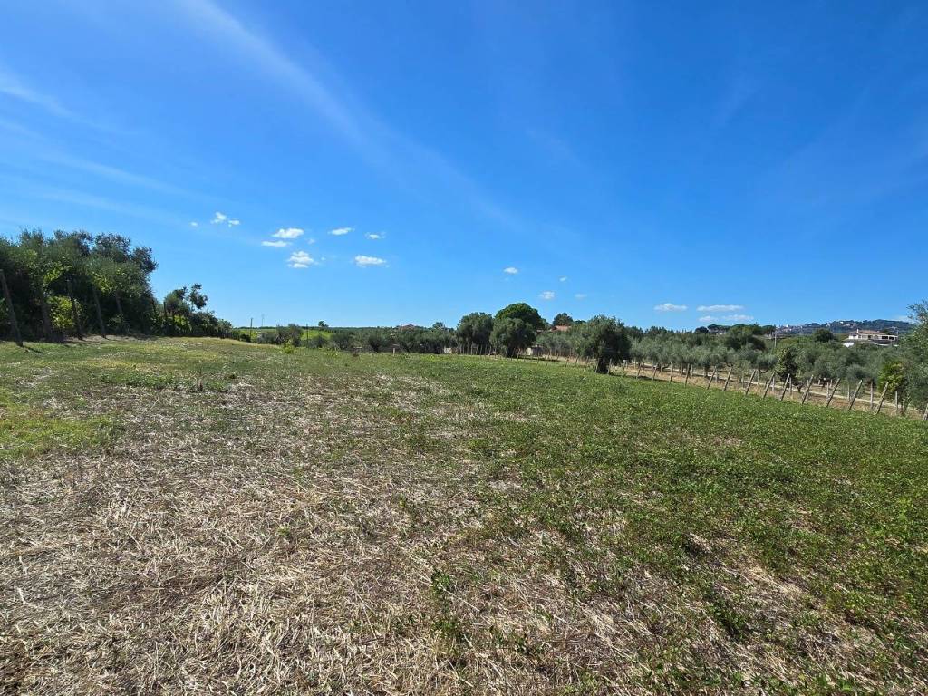 Terreno a Genzano di roma in Secondo Stradone Muti - Foto 3
