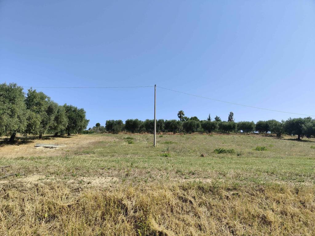 Terreno a Acquaviva picena in Contrada Magazzini - Foto 4