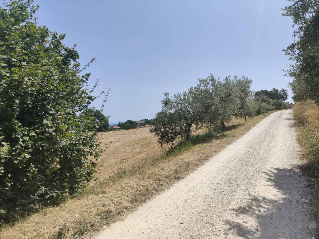 Terreno a Acquaviva picena in Contrada Paterno - Foto 3