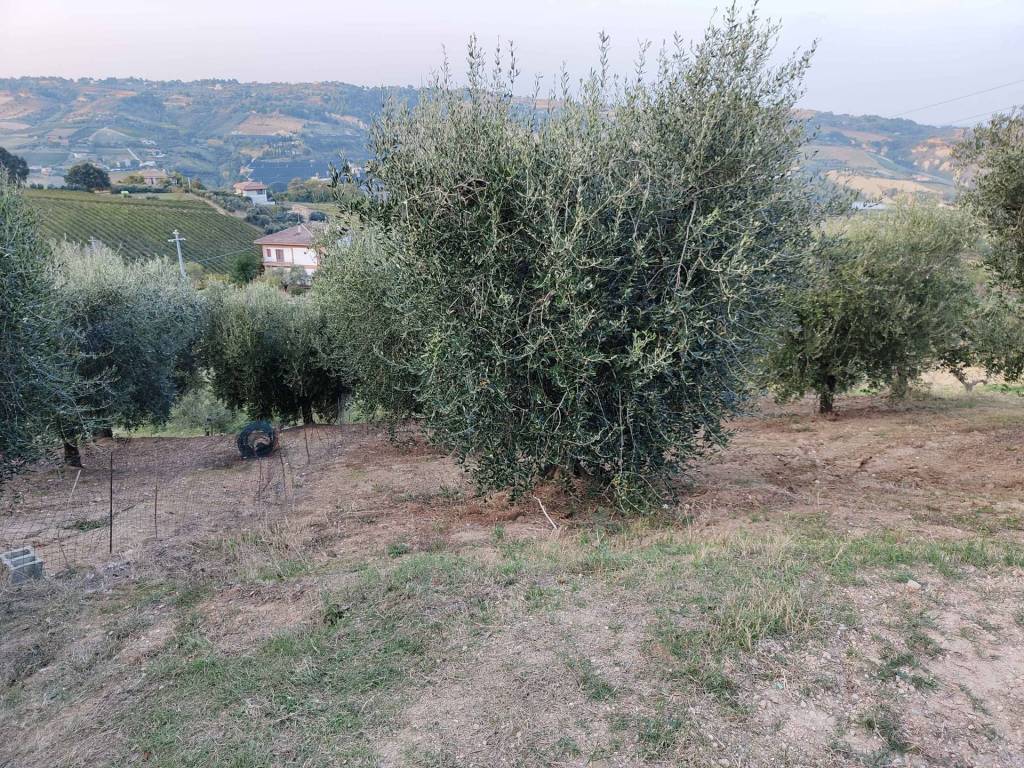 Rustico / casale a Acquaviva picena in Contrada Paterno - Foto 5