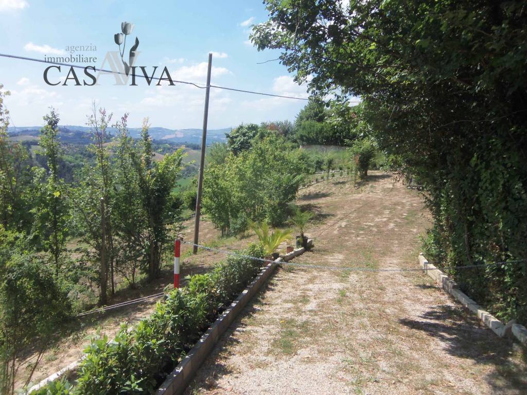Terreno a Acquaviva picena in Contrada Forola - Foto 5