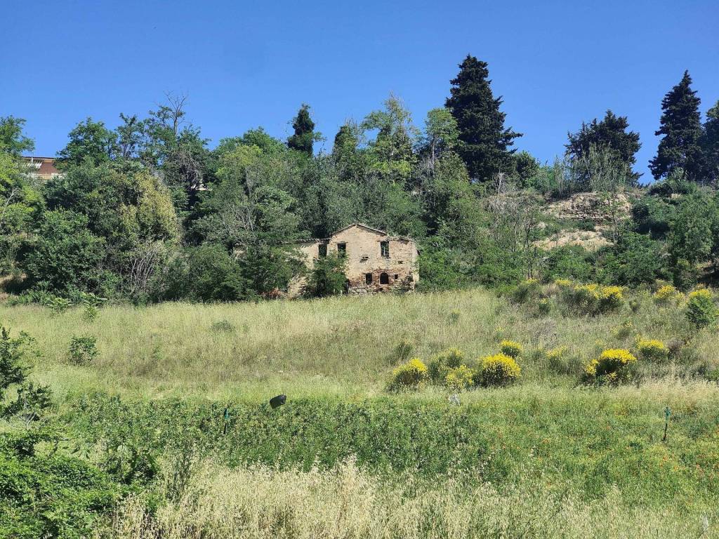Rustico / casale a Ripatransone in Contrada Acquarola, 3 - Foto 2