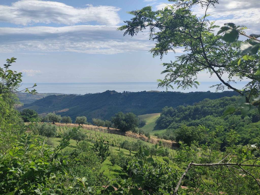 Rustico / casale a Ripatransone in Contrada Acquarola, 3 - Foto 5
