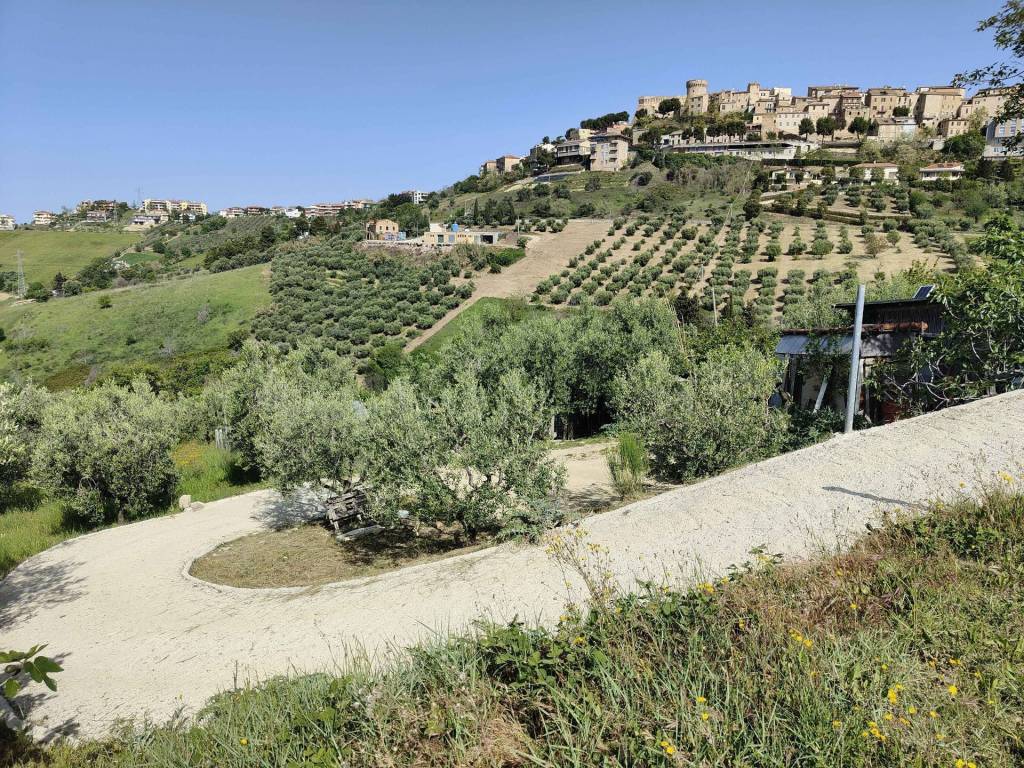 Terreno a Acquaviva picena in Contrada fonte Palanca - Foto 3