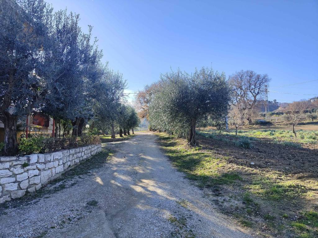 Rustico / casale a Acquaviva picena in Contrada Paterno, 14 - Foto 3
