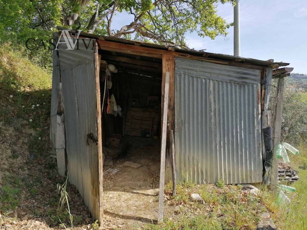 Terreno a Acquaviva picena in contrada s. maria in accubitu - Foto 3