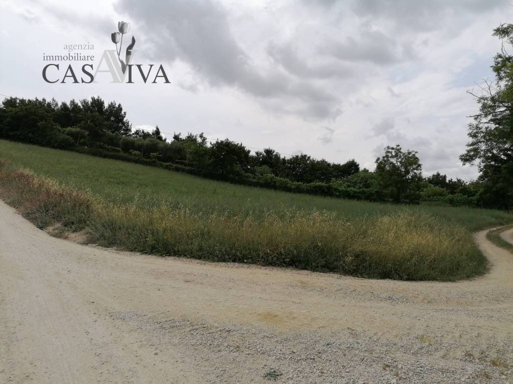 Terreno a Acquaviva picena in contrada Collelungo - Foto 2