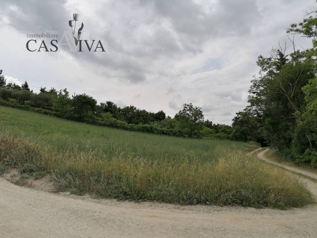 Terreno a Acquaviva picena in contrada Collelungo - Foto 4