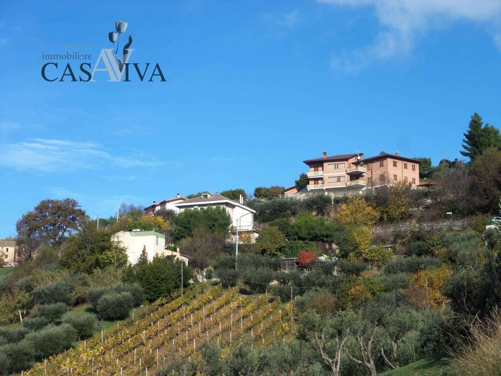 Terreno a Acquaviva picena in Contrada Campo delle Mura - Foto 2