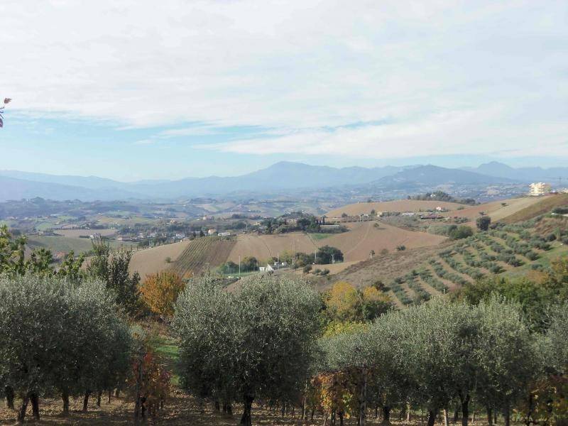 Terreno a Acquaviva picena in via san francesco - Foto 5