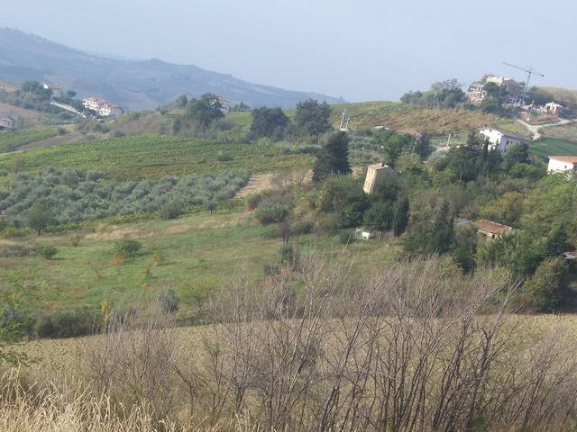 Rustico / casale a Ripatransone - Foto 3