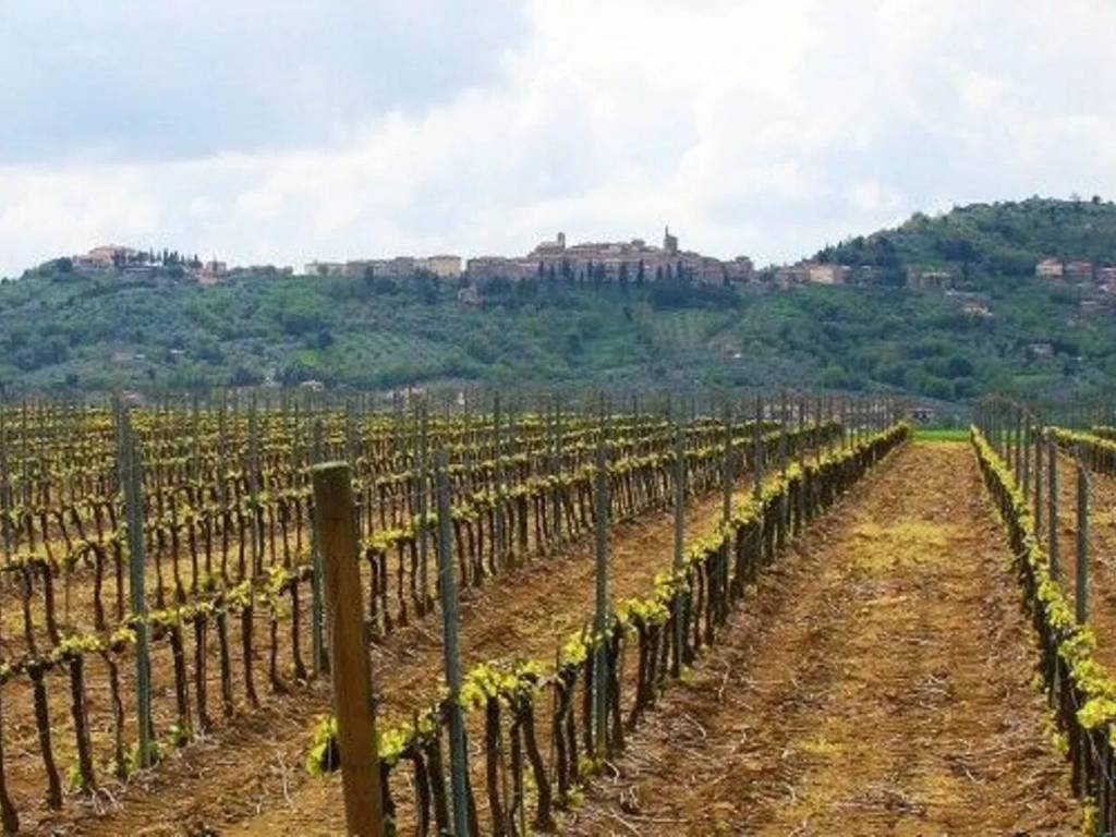 Terreno a Piegaro in Via Nuova, 25 - Foto 3