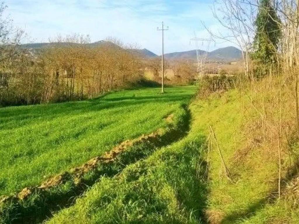 Rustico / casale a Piegaro in Località Località Case Sparse - Foto 4