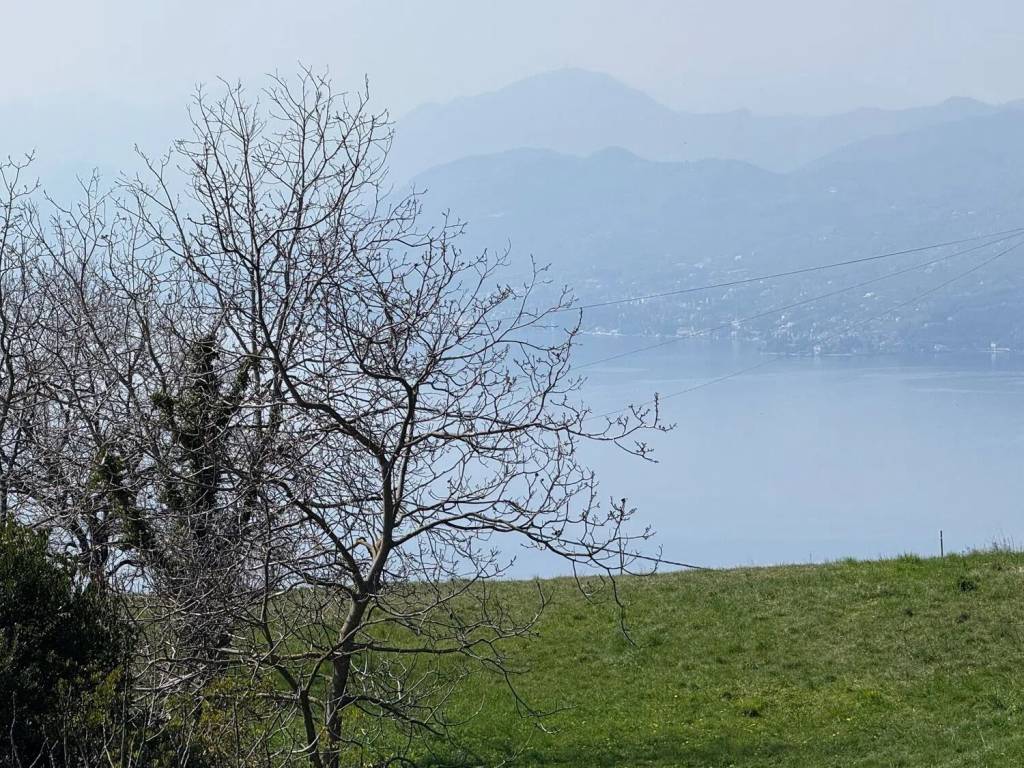 Terreno a San zeno di montagna - Foto 3