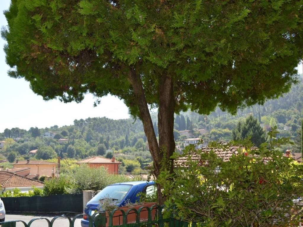 Casa indipendente a Ameglia - Foto 2