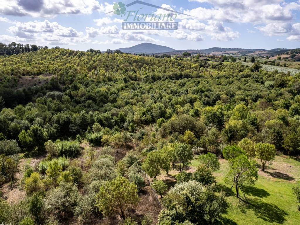 Villa a Capalbio in Via Vallerana Alta - Foto 2