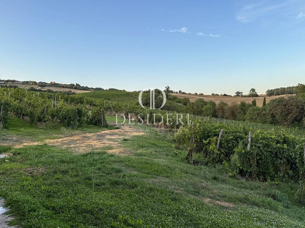 Terreno a Magliano in toscana in Via Banditaccia - Foto 5