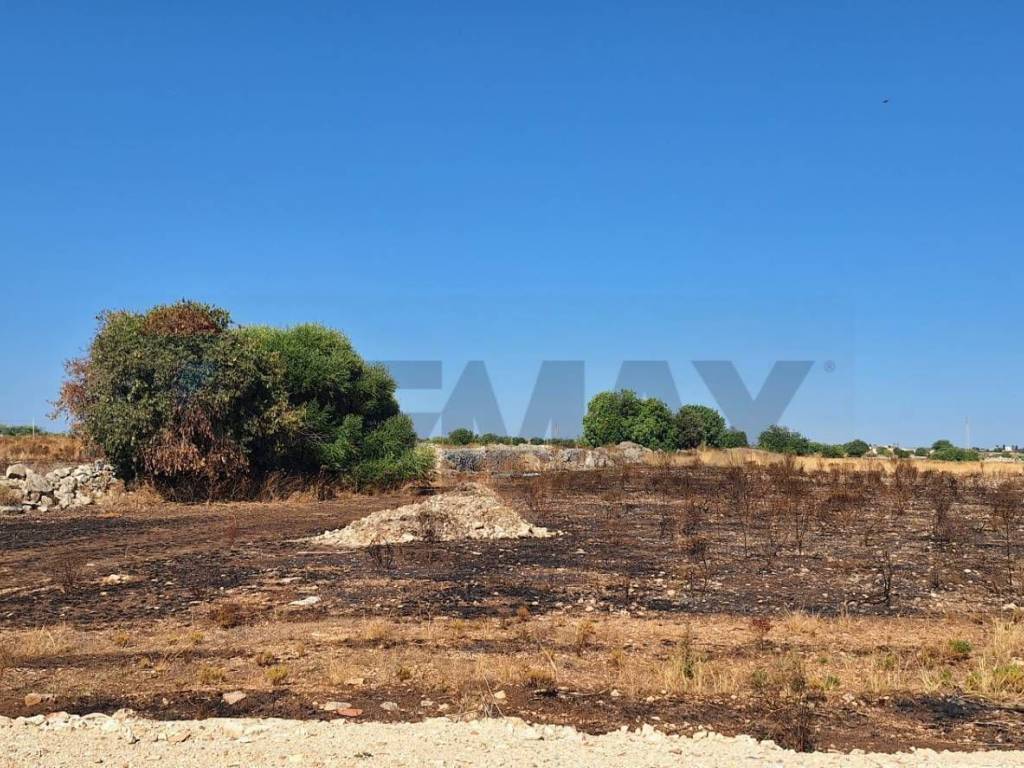 Terreno a Rosolini in Contrada Masicugno - Foto 3
