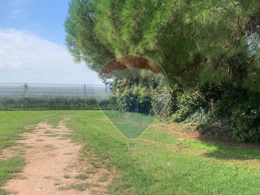 Rustico / casale a Villafranca di verona in via Don Domenico Bogoni, 20 - Foto 4