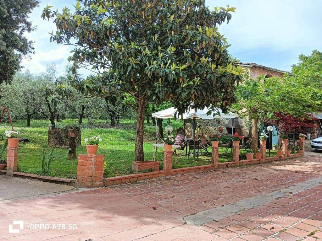 Rustico / casale a Pistoia - Foto 3