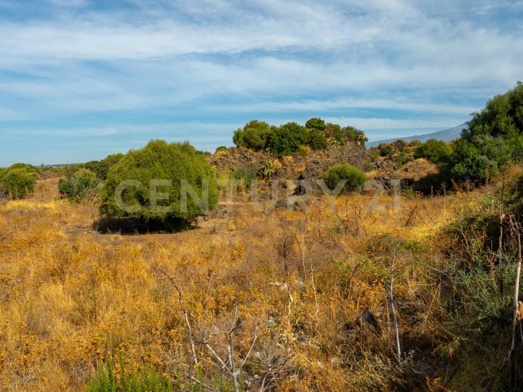 Terreno a Belpasso in Vicinanze DAIS - Foto 5