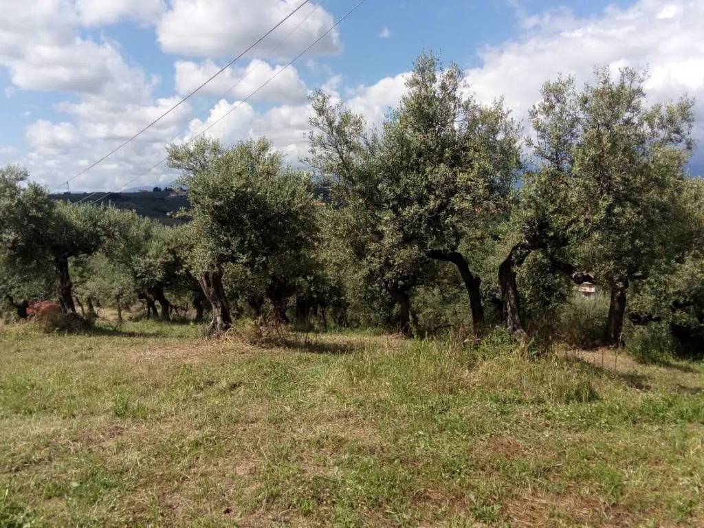 Terreno a Moscufo in Contrada Senarica, 32 - Foto 2