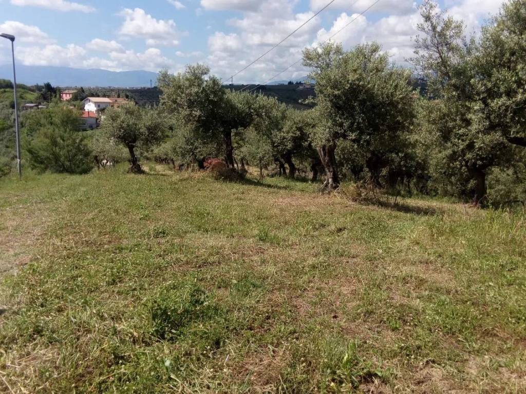 Terreno a Moscufo in Contrada Senarica, 32 - Foto 3