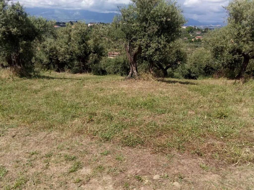 Terreno a Moscufo in Contrada Senarica, 32 - Foto 4
