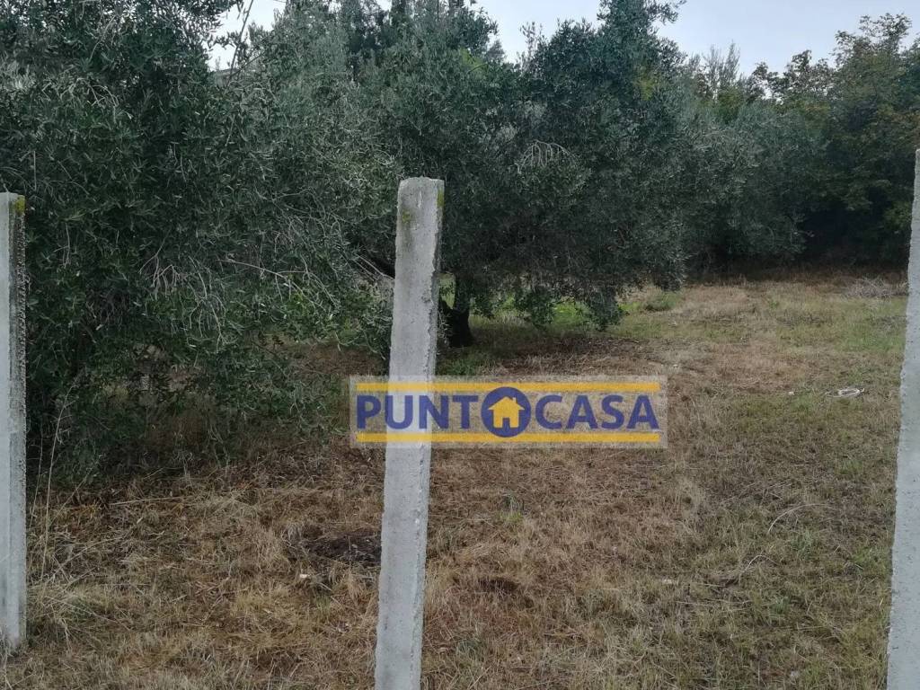 Terreno a Teramo in Villa Turri S.N.C. - Foto 2