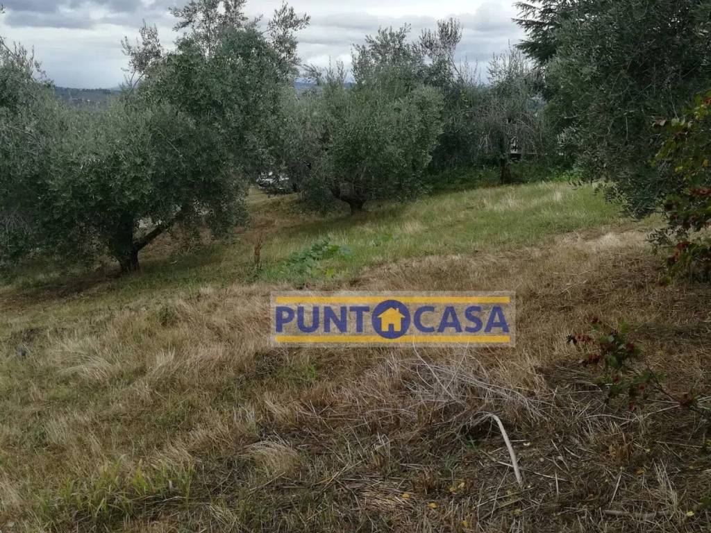 Terreno a Teramo in Villa Turri S.N.C. - Foto 3