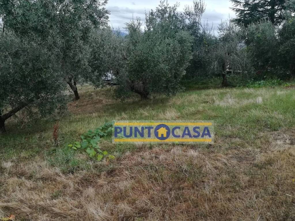 Terreno a Teramo in Villa Turri S.N.C. - Foto 4