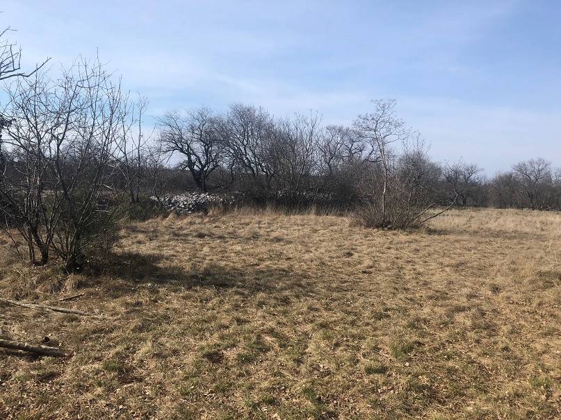 Terreno a Trieste - Foto 4