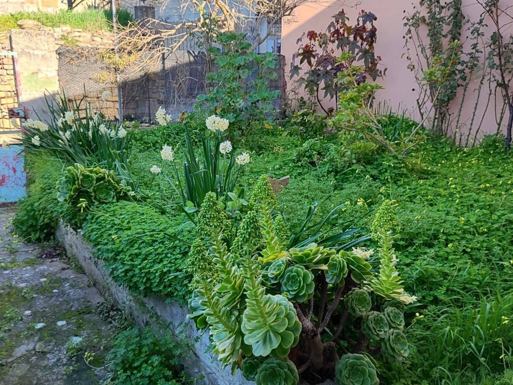 Villa a Mandas - Foto 2