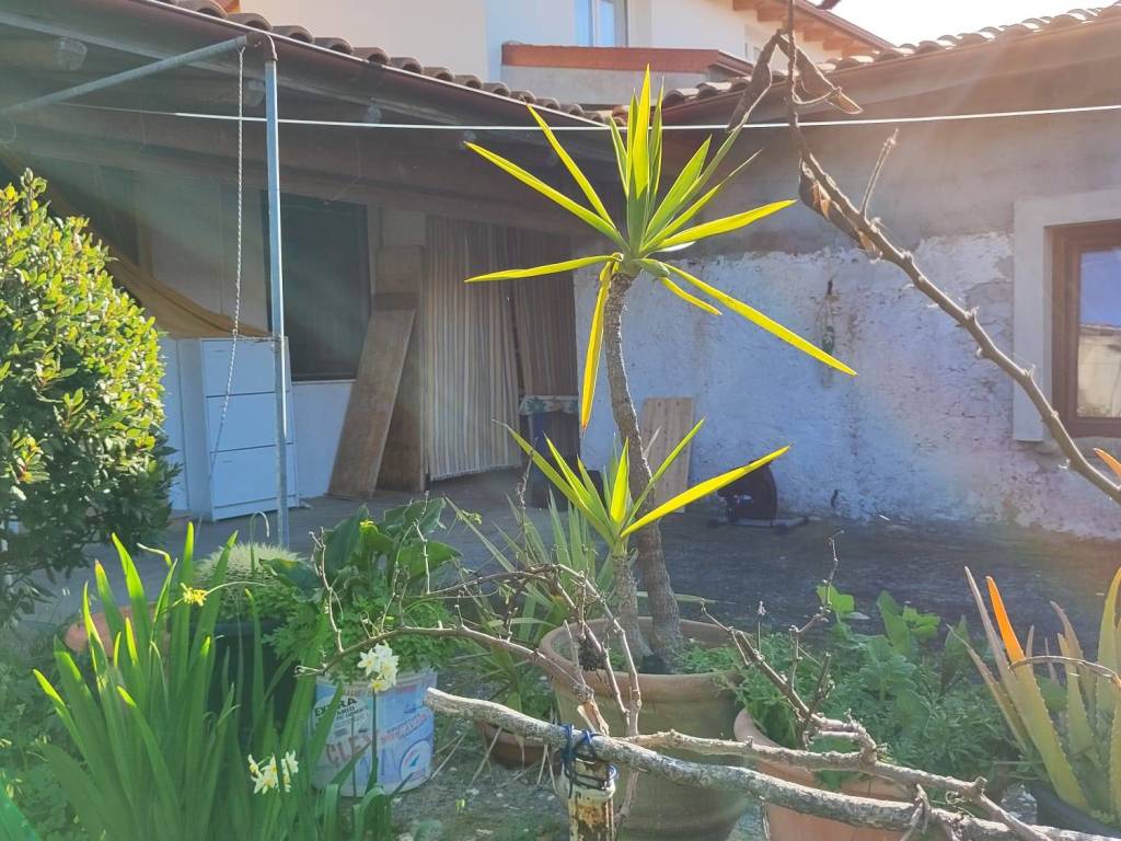 Villa a Mandas - Foto 5