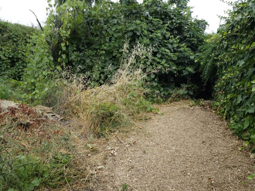 Villa a Ortona in Via Marchese - Foto 3
