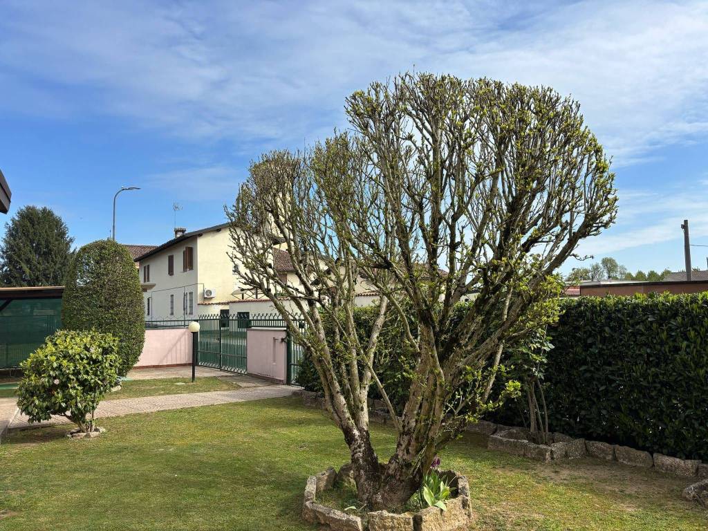 Villa a Bornasco in Via Monte Santo, 4 - Foto 4