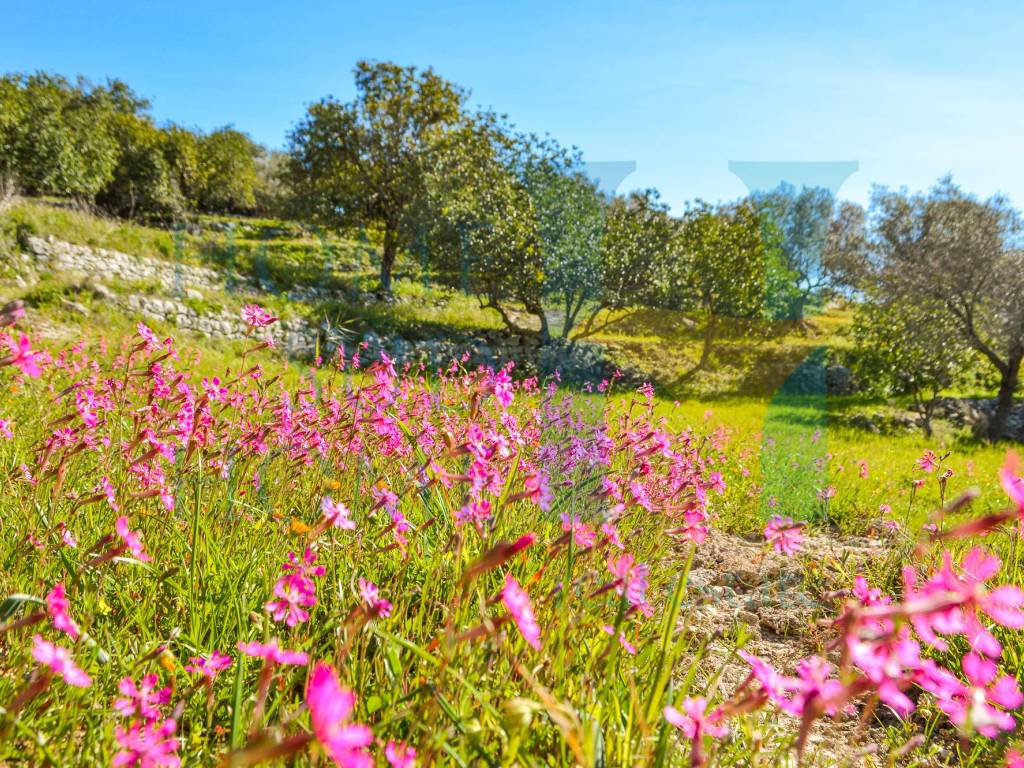 Rustico / casale a Modica in Via Roma - Foto 5